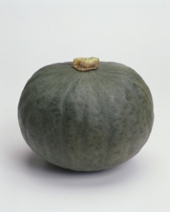 Picture of Winter Squash Blue Kuri